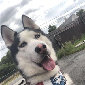 Meet your Posher, Lori